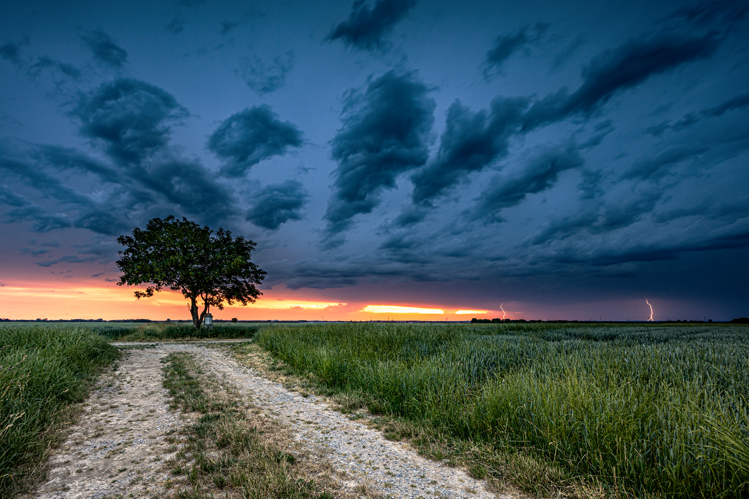 sonnenuntergangsgewitter