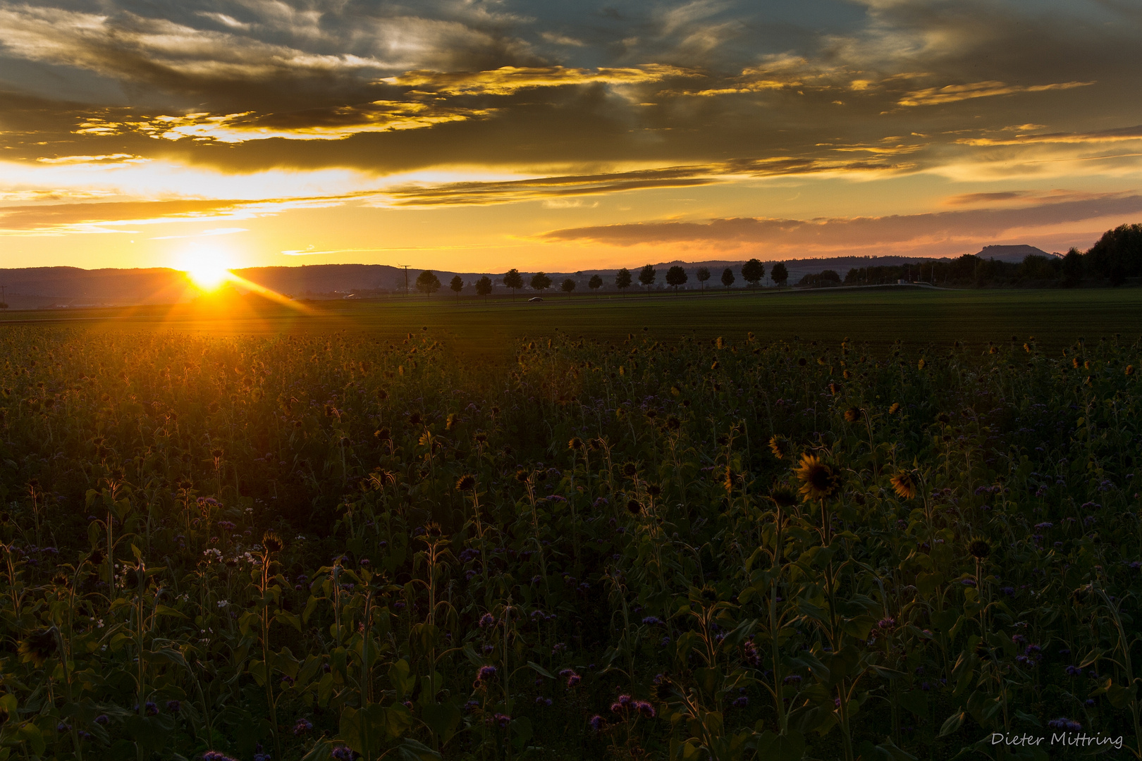 "Sonnenuntergangskitsch"