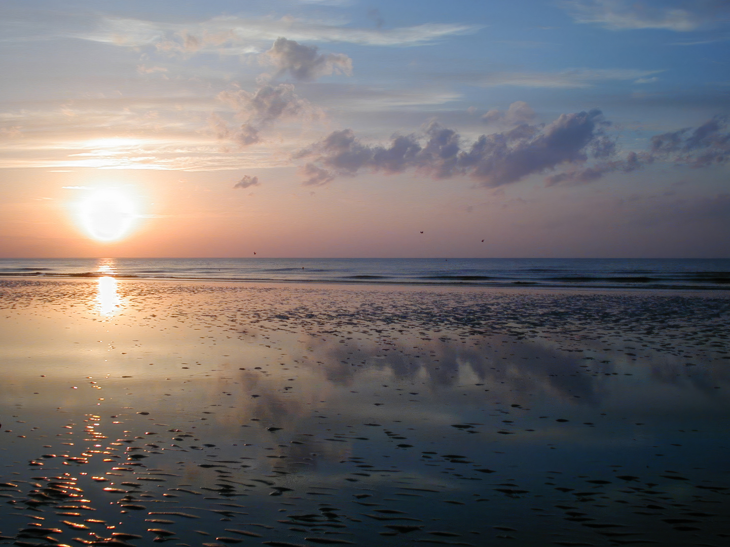 Sonnenuntergangsspiegelung DePanne 