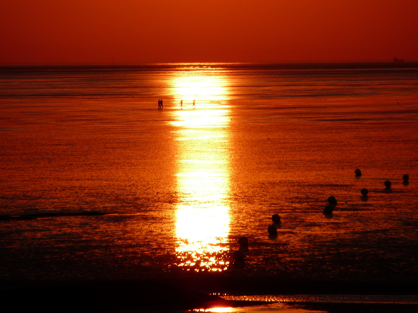 Sonnenuntergangssspiegelung im Cuxhavener Wattenmeer