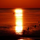 Sonnenuntergangssspiegelung im Cuxhavener Wattenmeer