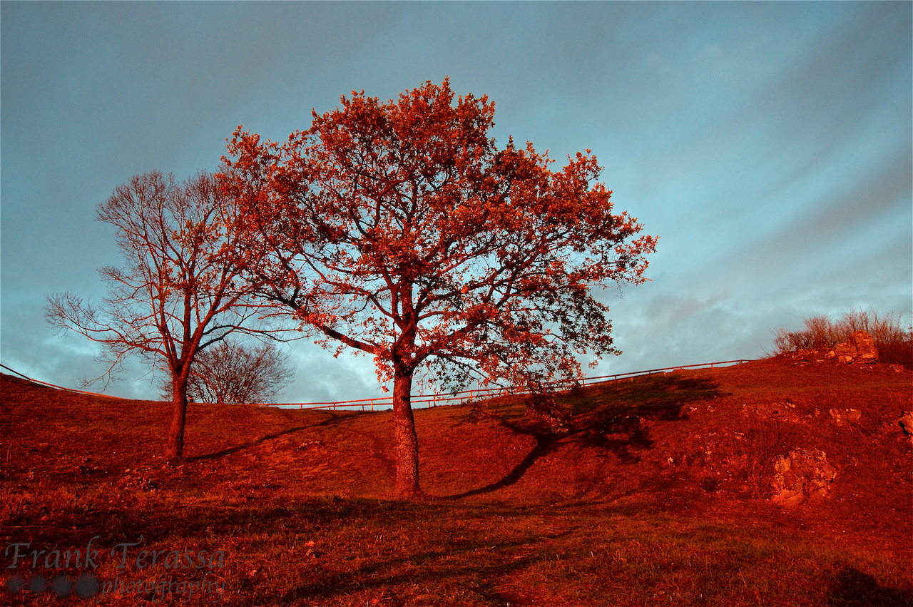 Sonnenuntergangsstimmung