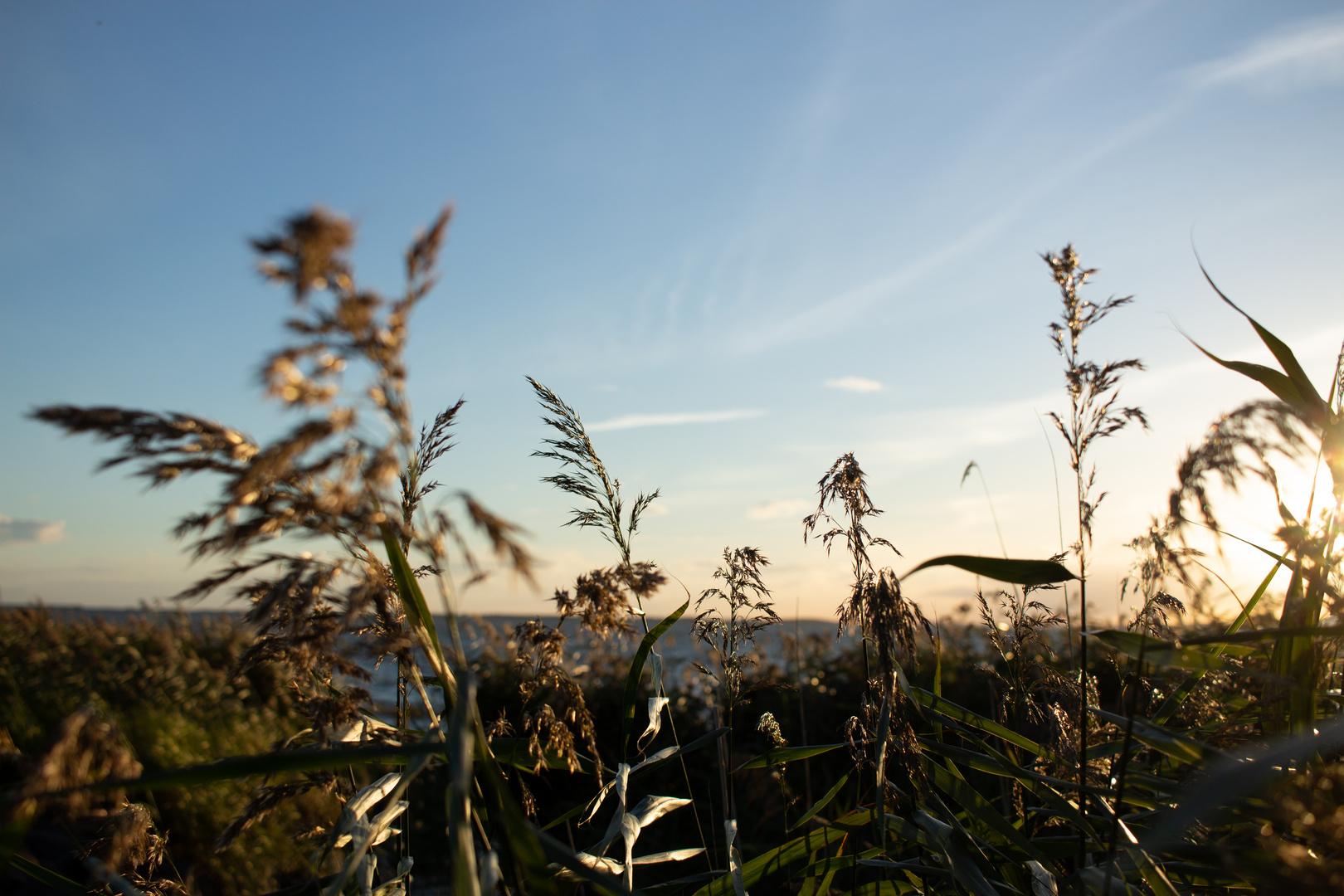 Sonnenuntergangsstimmung am Achterwasser