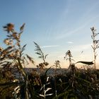 Sonnenuntergangsstimmung am Achterwasser