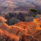 Sonnenuntergangsstimmung am Grand Canyon