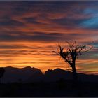 Sonnenuntergangsstimmung am Jebel Shams