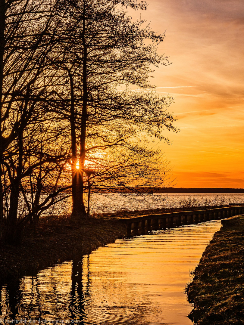 Sonnenuntergangsstimmung am Müggelsee1