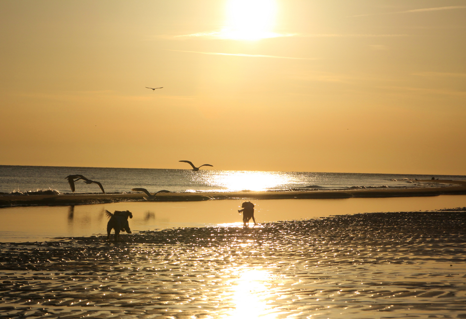 Sonnenuntergangsstimmung am Strand von Burgh Haamstede