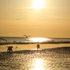 Sonnenuntergangsstimmung am Strand von Burgh Haamstede