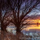 Sonnenuntergangsstimmung an der Elbe bei Ferchland