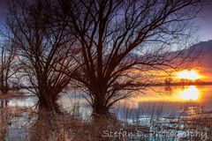 Sonnenuntergangsstimmung an der Elbe bei Ferchland