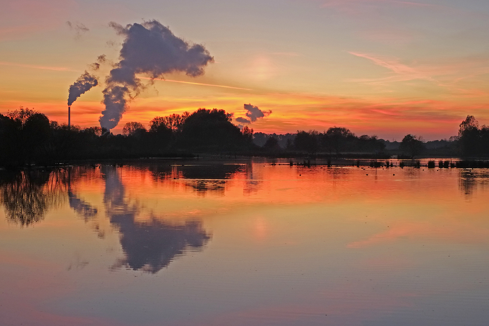 Sonnenuntergangsstimmung an der Lippeaue im NSG Am Tibaum bei Werne-Stockum