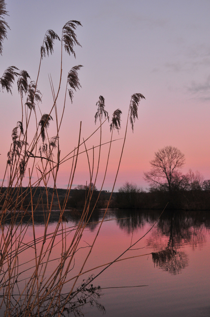 Sonnenuntergangsstimmung an der Naab