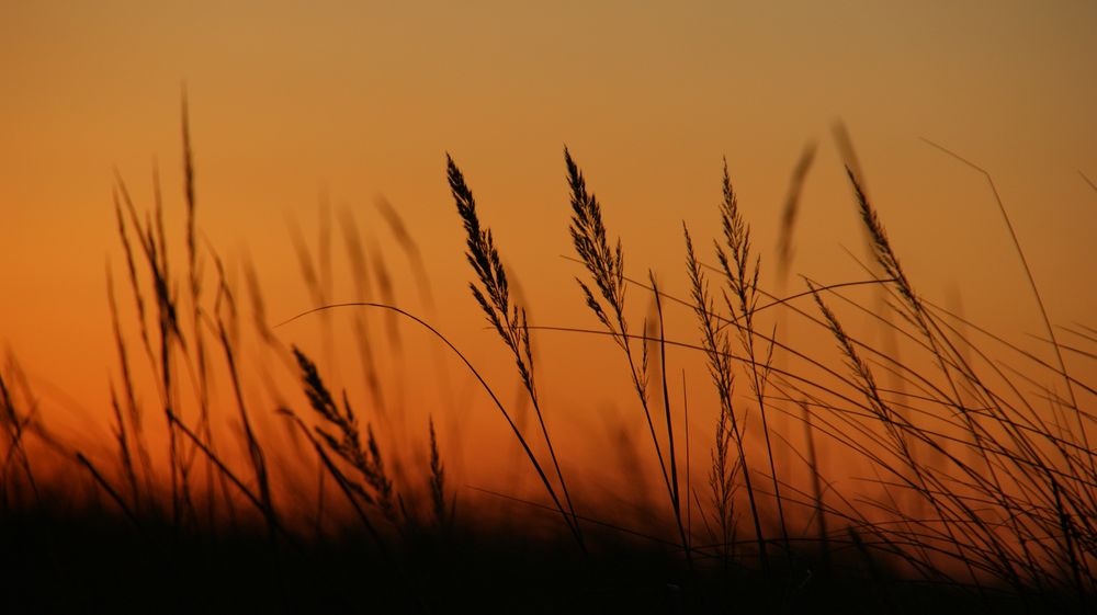 Sonnenuntergangsstimmung an der Ostsee