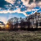 Sonnenuntergangsstimmung hinter einer Baumreihe