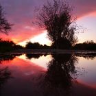 Sonnenuntergangsstimmung im "See"