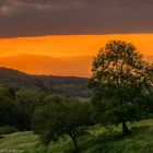 Sonnenuntergangsstimmung über den Vogesen