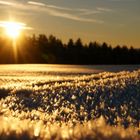 Sonnenuntergangstimmung im Vogtland