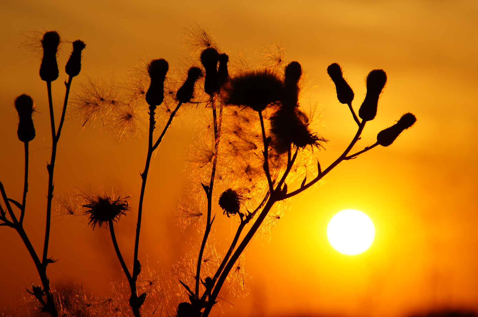 Sonnenuntgang in Kamen