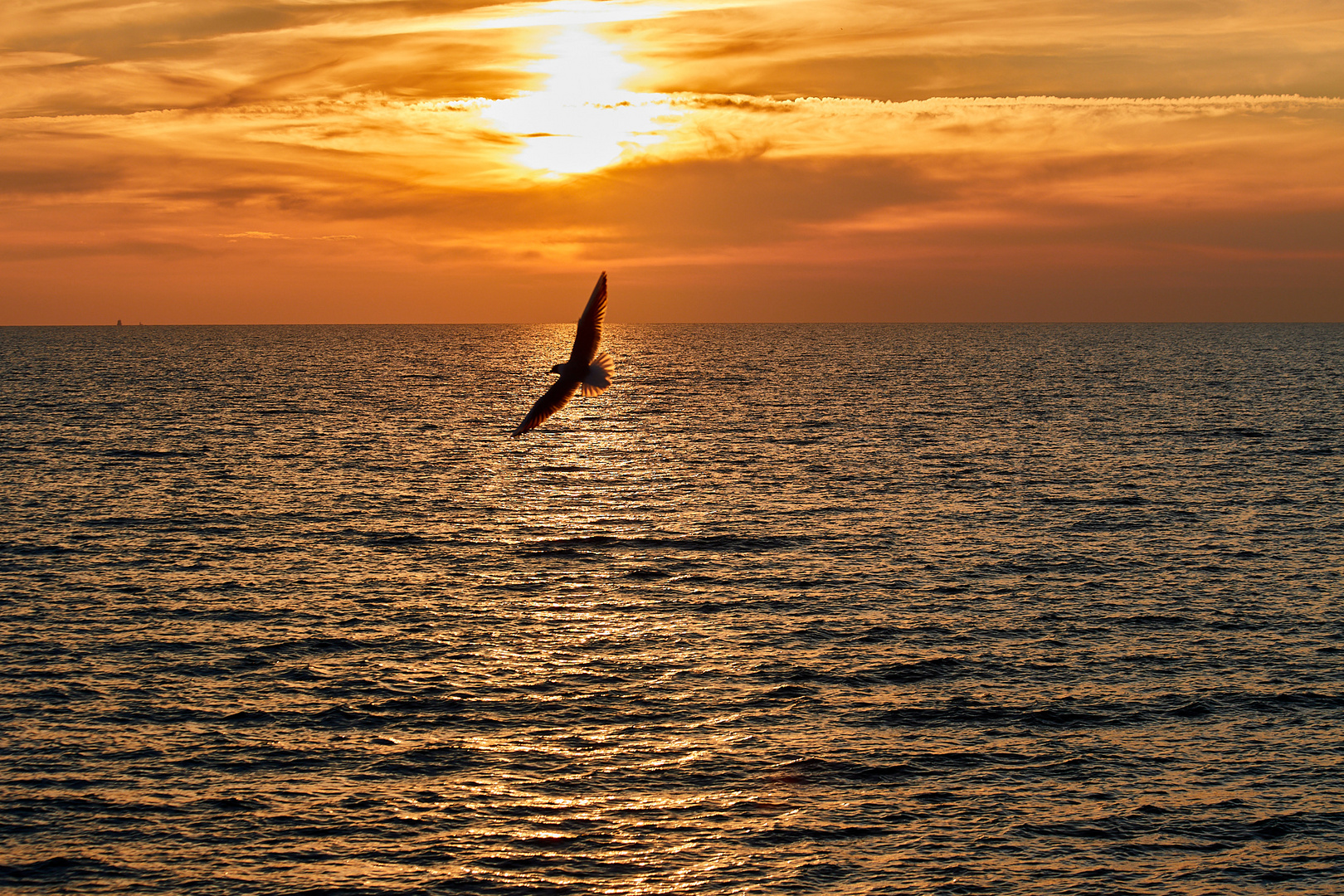 Sonnenutergang Darß Weststrand