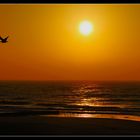 Sonnenutergang in Westerland