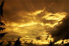 Sonnenutrgang_goldener_Himmel