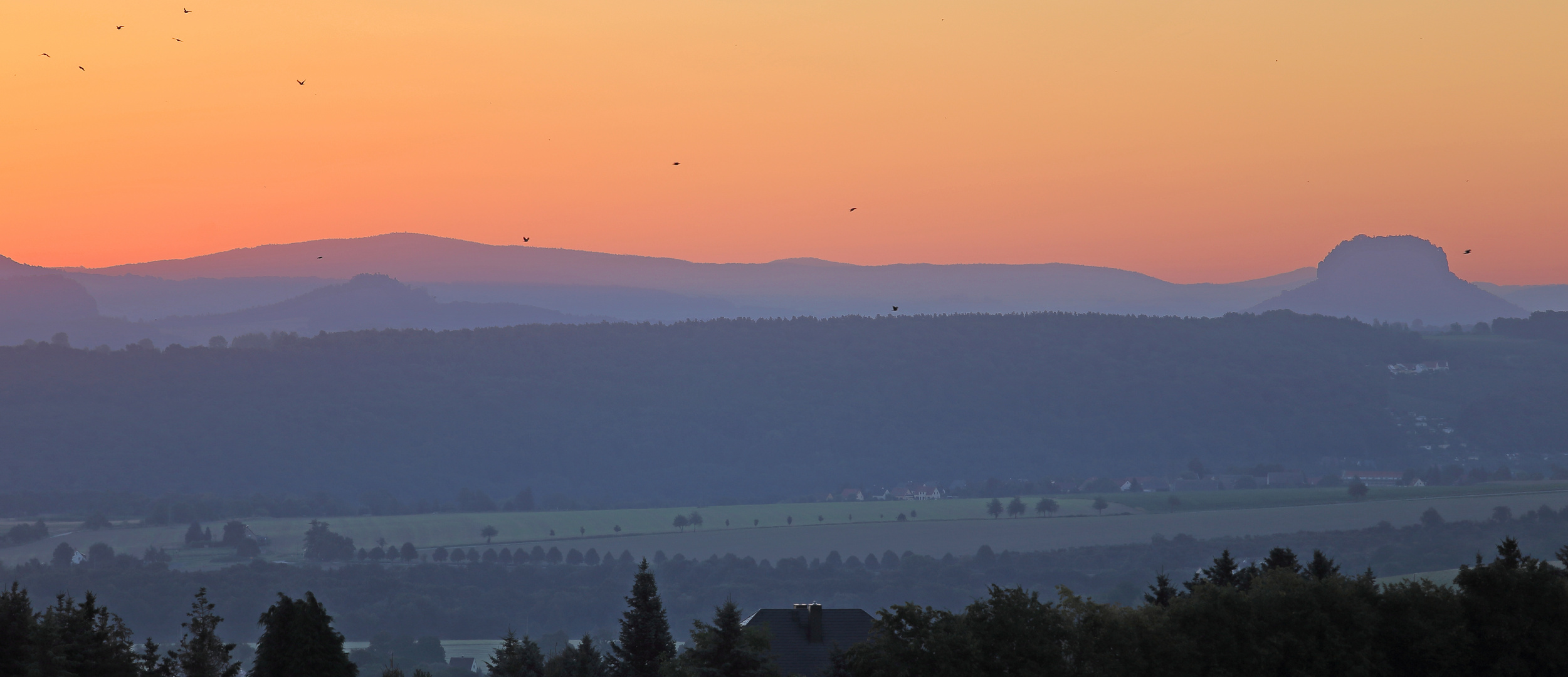 "Sonnenvögel", von der eben aufgegangenen Sonne inspiriert...