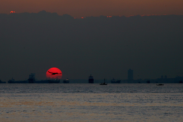 Sonnenvogel, unscharf, bei diesigem Wetter vor schwimmender Transportindustrie