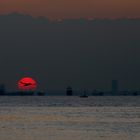 Sonnenvogel, unscharf, bei diesigem Wetter vor schwimmender Transportindustrie