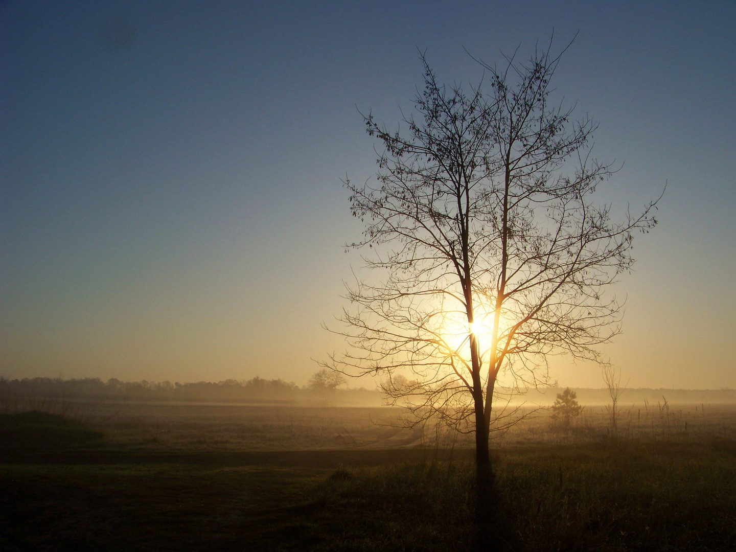 Sonnenwächter