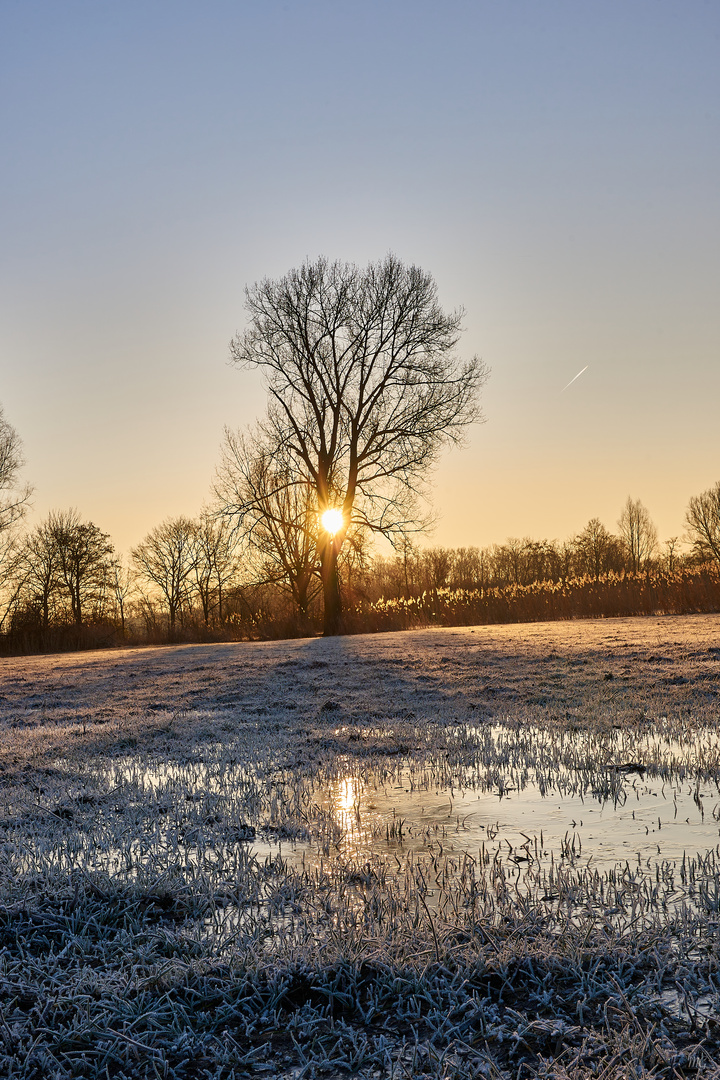 Sonnenwärme in eisigen Zeiten.....