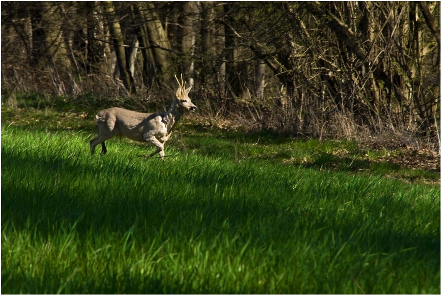 Sonnenwanderung # 12