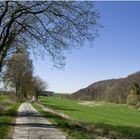 Sonnenwanderung # 8