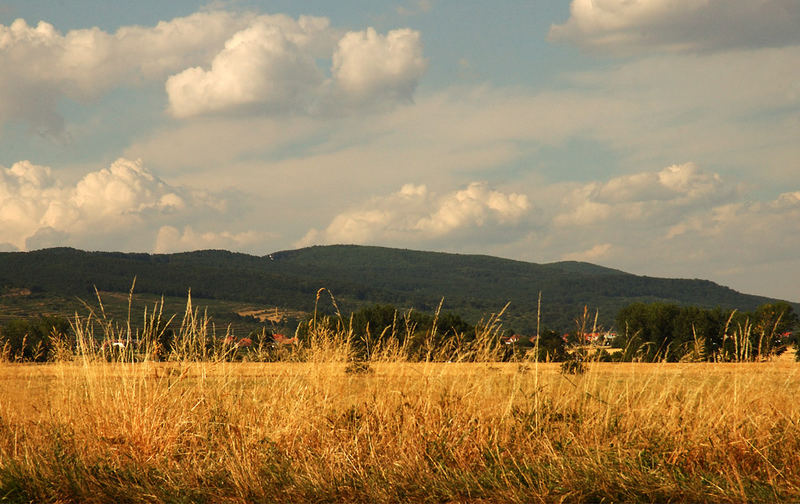 Sonnenwiese in der Slowakei