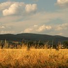 Sonnenwiese in der Slowakei