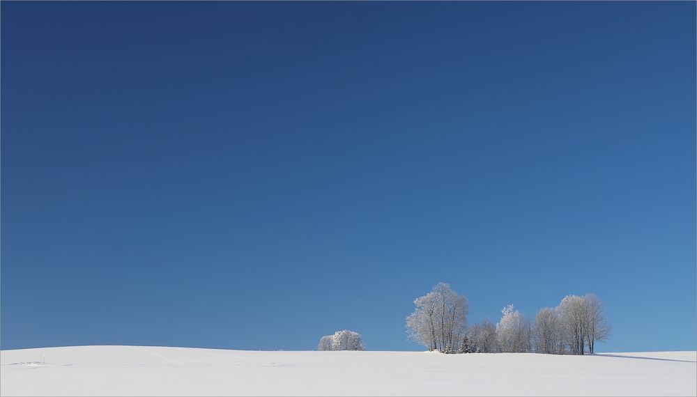 (Sonnen)Wintertag