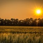 Sonneruntergang Neu