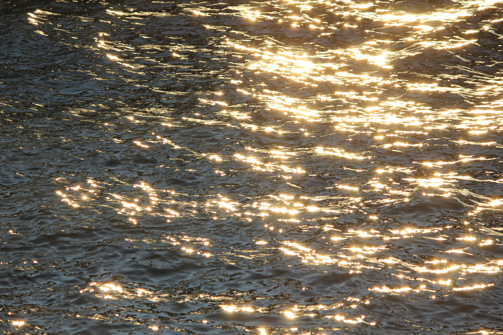 Sonneschein in der Elbe