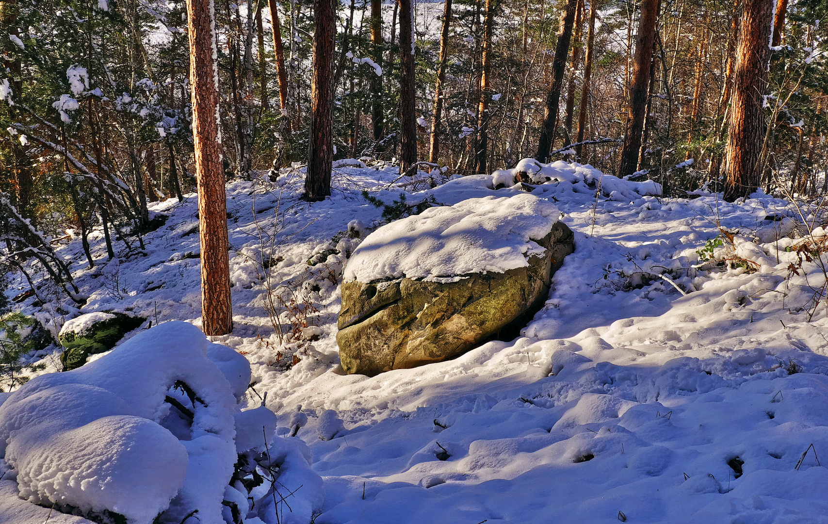 Sonne,Schnee,Felsen