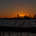 Sonneuntergänge am See