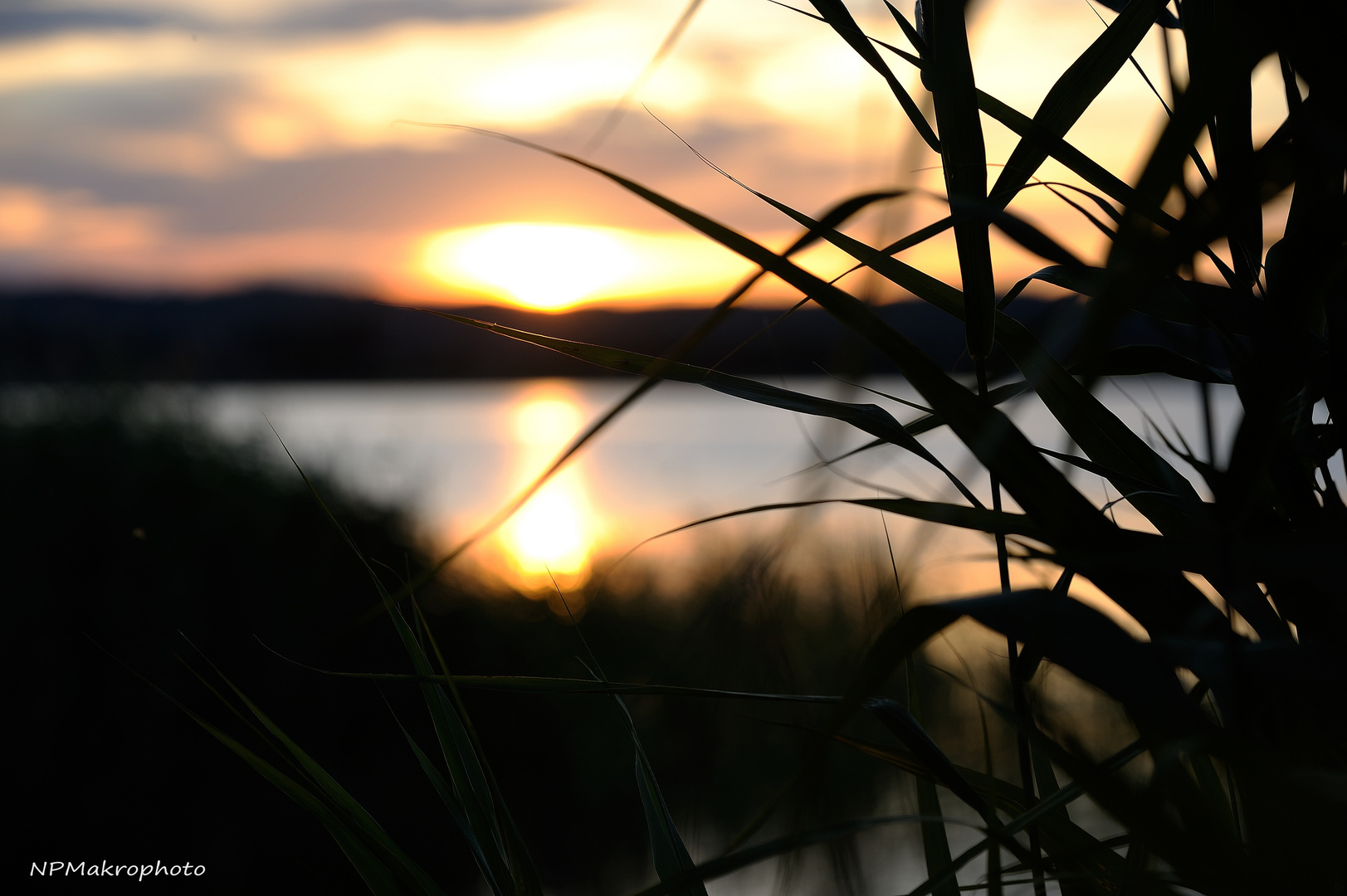 Sonneuntergang bei Baabe