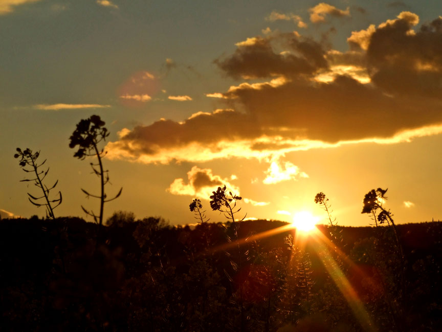 Sonneuntergang im Herbst