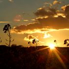 Sonneuntergang im Herbst