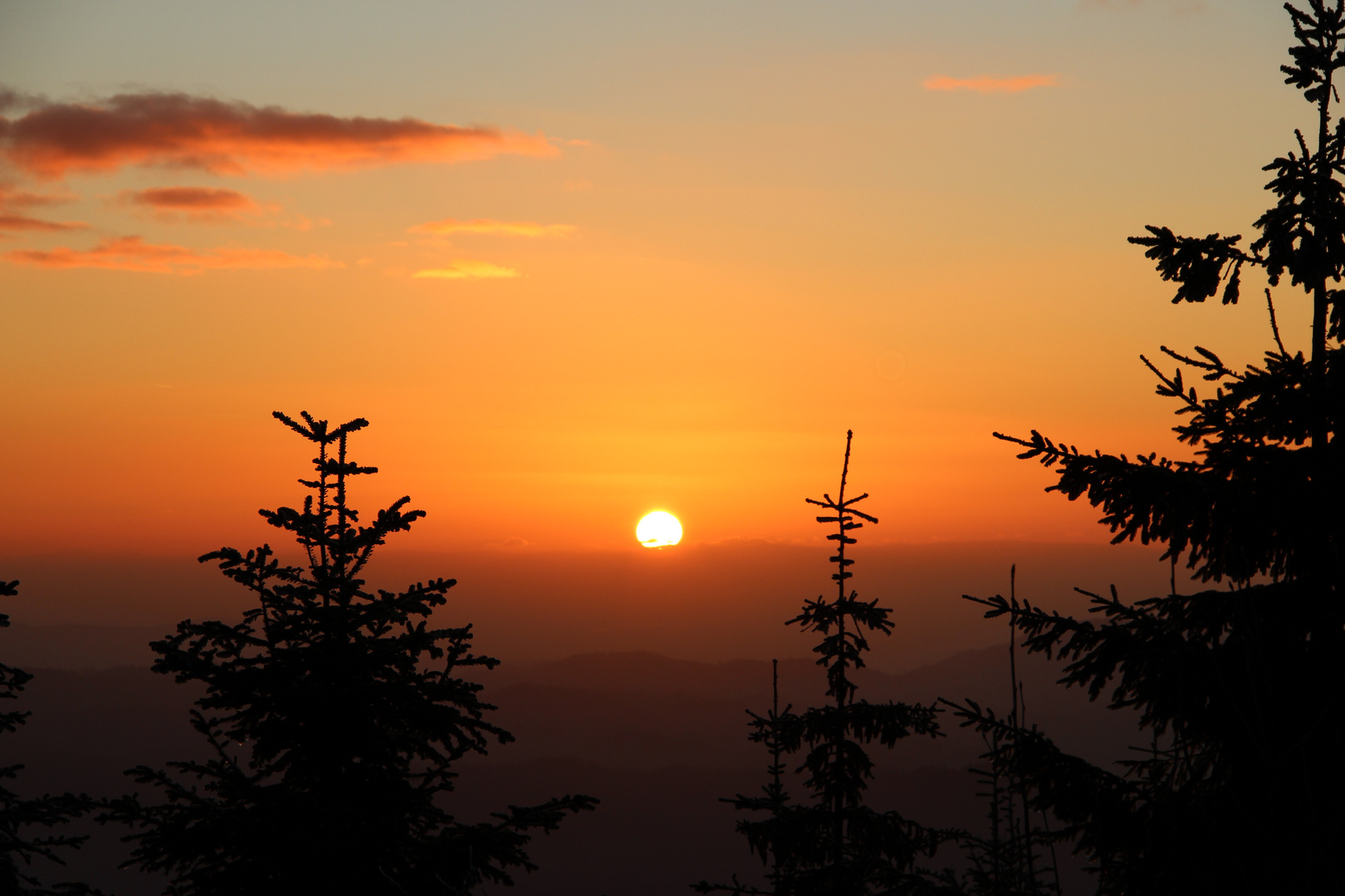 Sonneuntergang im Schwarzwald