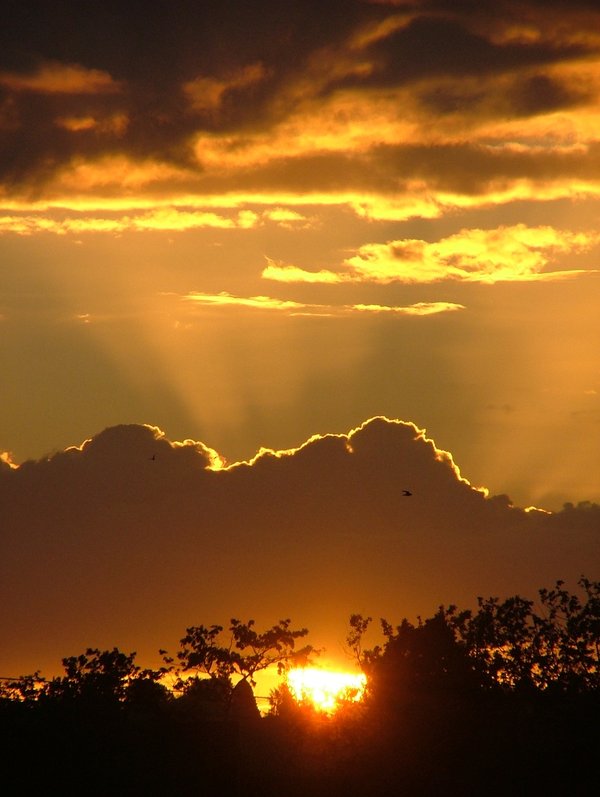 Sonneuntergang in Salomon Inseln