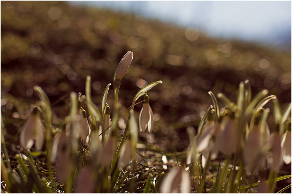 Sonne...Wärme...Frühling?