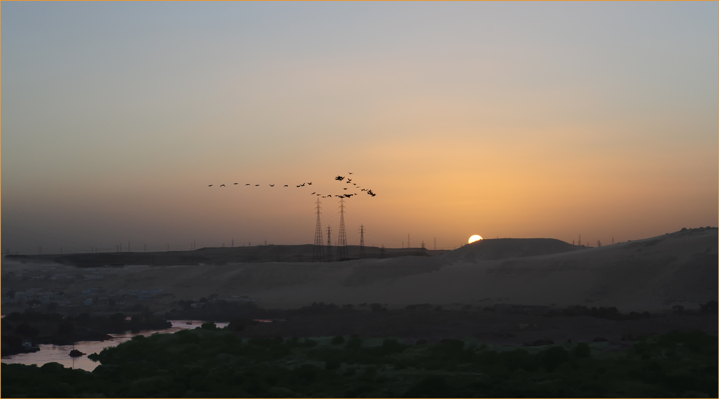 SONNE,WÜSTE,KORMORANE,NILKATARAKT,SROM MASTE=STIMMUNG