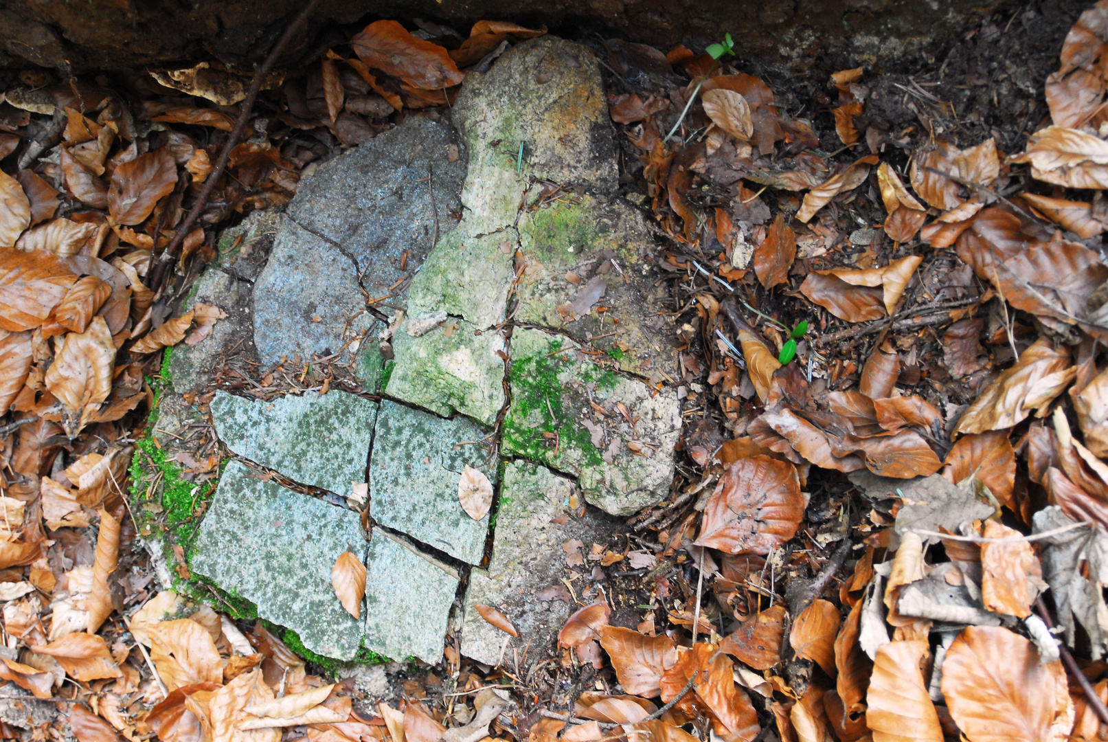 Sonnhofen, Nordoststeiermark, Österreich_Austria: Relief oder Mosaik?