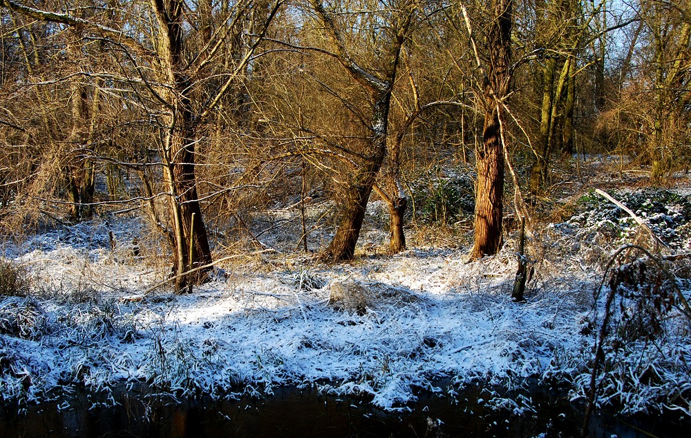 sonnig kalter Einblick