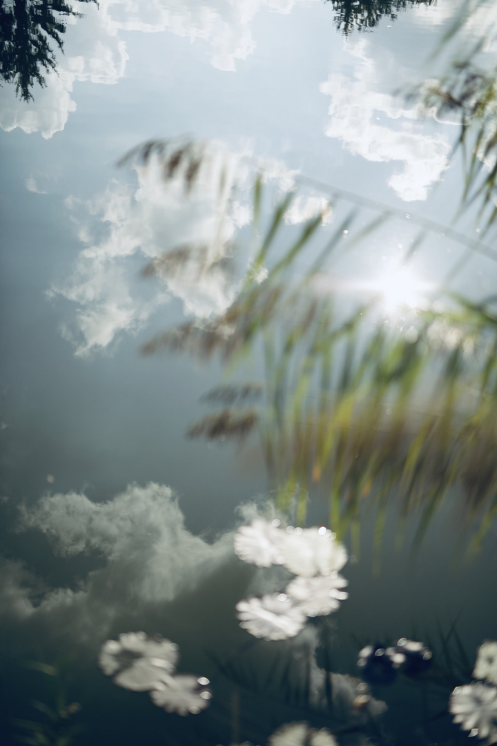 Sonnig, leicht bewölkt